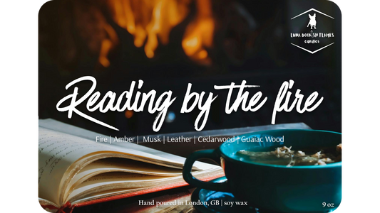 Reading By The Fire