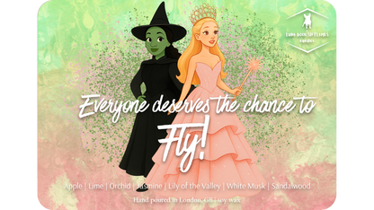 Everyone deserves the chance to fly!