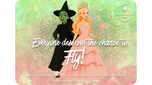 Everyone deserves the chance to fly!