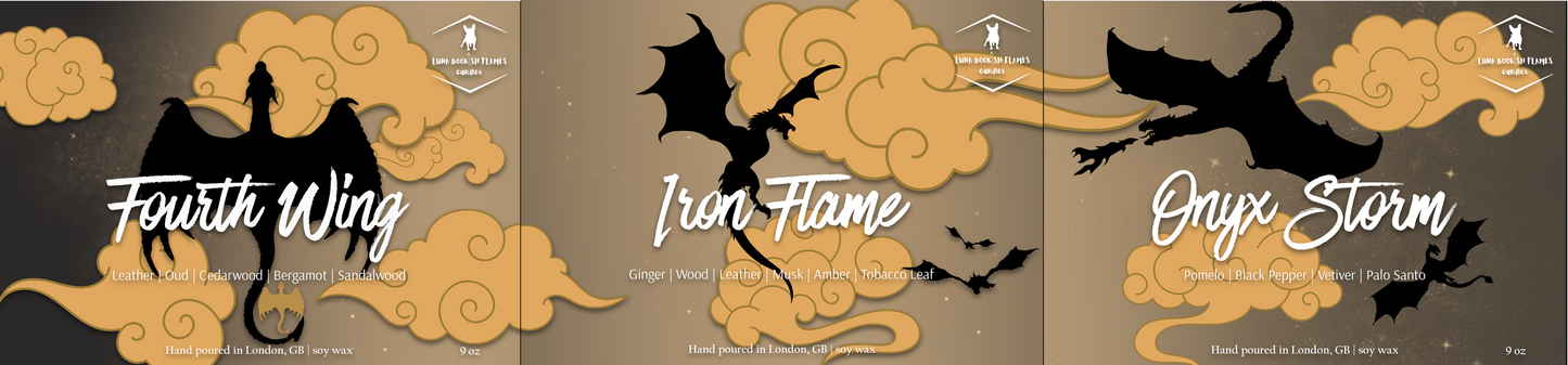 Fourth Wing (Set of 3)